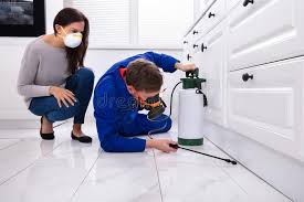 Best Pest Control for Multi-Family Homes  in Sea Bright, NJ